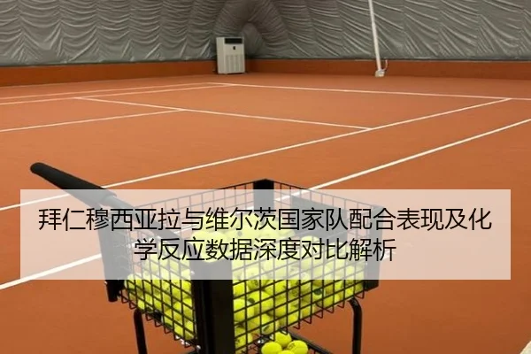 拜仁穆西亚拉与维尔茨国家队配合表现及化学反应数据深度对比解析