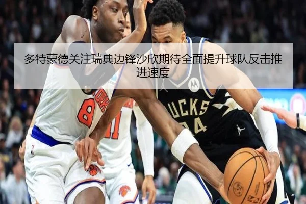 多特蒙德关注瑞典边锋沙欣期待全面提升球队反击推进速度
